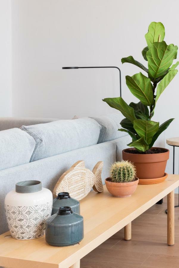 Petit Luxe L'atic Terrassa